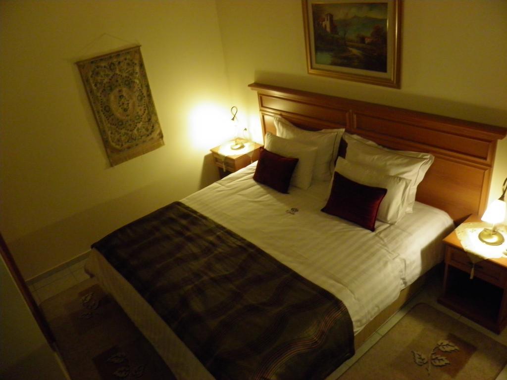 Egnatia Hotel Ioannina Room photo